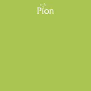 Pion